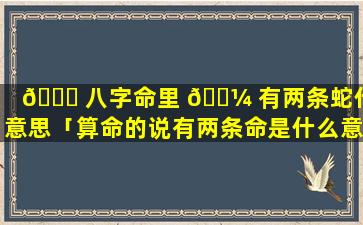 🐋 八字命里 🌼 有两条蛇什么意思「算命的说有两条命是什么意思」